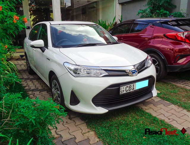 asia fleet cars